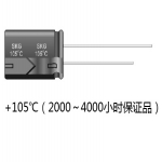 Small Aluminum electrolytic capacitors SKG